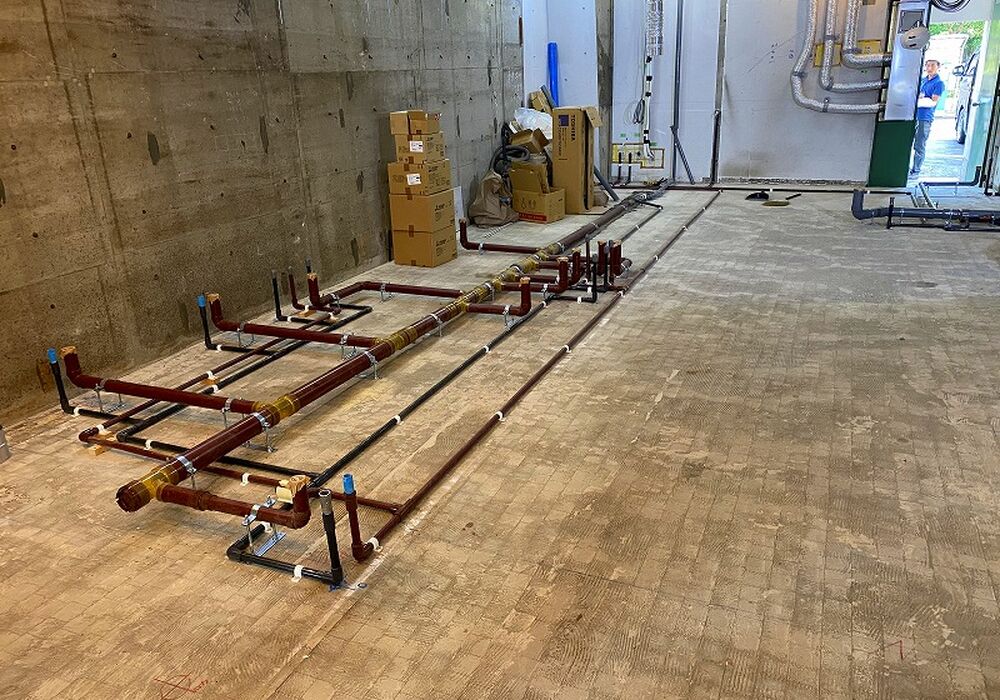 IMG-1619